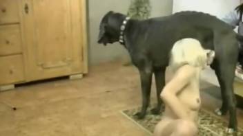Skinny blonde worships a dog's red cock BIG TIME