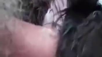 Pulsating dick penetrates a sexy beast's orifice from the rear