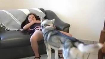 Hot home porn with a dog in amateur zoophilia