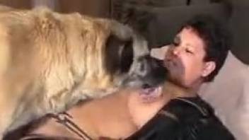 Steamy beast is set to demolish a zoophile's soaked cunt