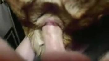 Cowgirl position sex scene with an aroused vagina in doggystyle style