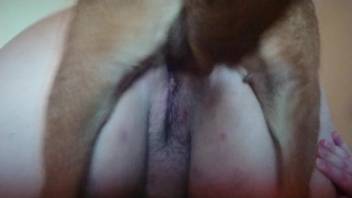 Perverse sex encounter with an obedient beast-loving woman