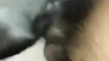 Sexy dude with a fuzzy dick ravaging that beast's rear