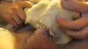 Hot scenes of dog zoophilia between a man and a dog in closeup XXX