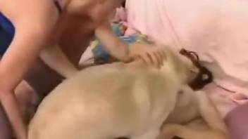 Shaved pussy gal getting banged by a dirty doggo