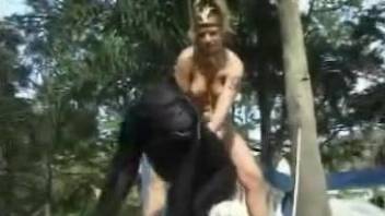 Fine chick enjoys animal sex in her outdoor zoo show