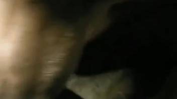 Guy's lengthy dick is licked by a super hot pup