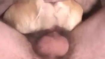 Nude gay male sticks it deep into a tiny dog vagina