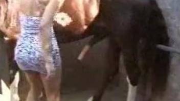 Horse porn extreme zoo fuck with amateur woman