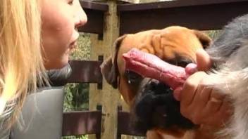 Slim blonde tries extra dog cock in her tiny pussy