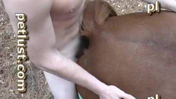 Horse with a hard cock having lots of fun with a hung guy