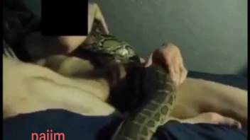 Serpent is about to provide him with some manual pleasure
