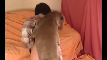 Home-recorded zoophilic encounter with a dog and my spouse