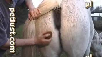 Farmer drilled a horny stallion in doggy style pose