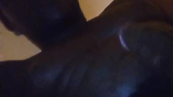 Guy with a stiff ebony shaft forces this canine to give him head