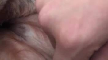 Guy satisfies his filthy desires by screwing the canine