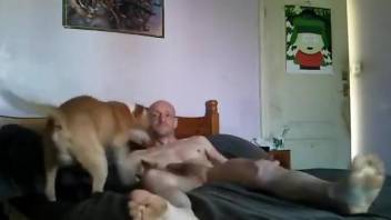 Bald dude gets his ass fucked by the dog