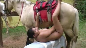 Intense horse porn zoophilia caught on amateur cam