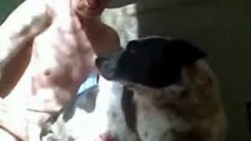 Hardcore bestiality video of a man aggressively screwing animals