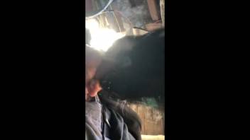 Dude whips out his cock and lets her suck on it