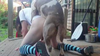 Aroused gay male cam fucked in the ass by how own dog