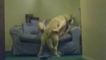 Massive hound fully penetrates defenseless female owner