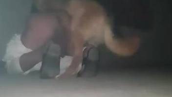 Meaty booty dude is going to get rammed by a dog