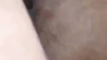 Guy's dick slamming deep into a huge horse cunt