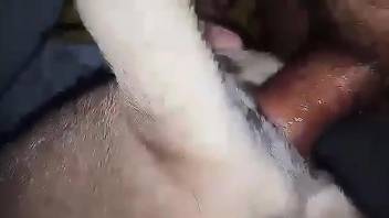 Guy using his meaty member to fuck a slutty beast