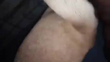 Man wielding his thick cock to bang a promiscuous wildcat