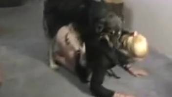 Curvy booty blonde lady webcam banged by the shaggy canine