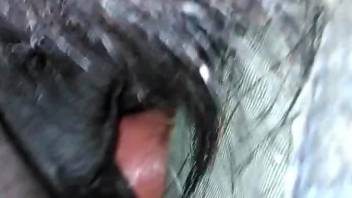 Black mare with a beautiful pussy deserves hard sex
