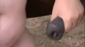 Curvy lady and her spouse enjoy a massive horse-sized cock jointly