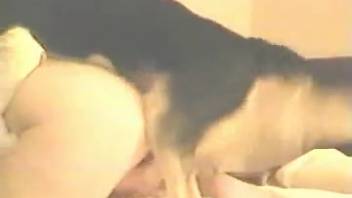 Cutie adores her little dog and allows him to mate with her