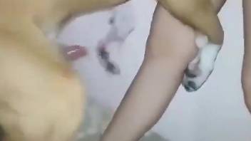 Playful girl grabs the animal by the cock during teasing