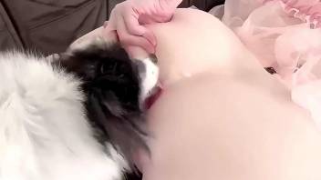 Dildoing her perfect pussy after the licking