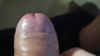 Noisy cock sucking domestic kinks in a hot animal webcam fuck