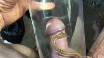 Aroused guy enjoys that tiny serpent slithering over his cock