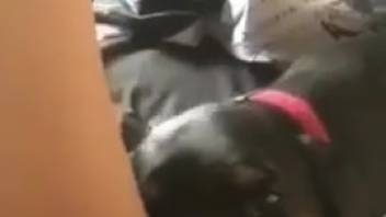 Sexy beast devouring her flawless cunt in point-of-view