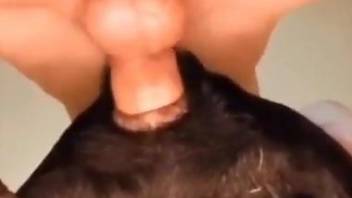 Guy's cock pounding that animal to sexual nirvana