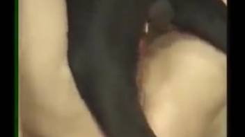 Tiny ebony pup fucks a plump dark-haired lady in missionary position