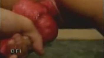 Ebony canine tongues and penetrates a slim fair-haired bestiality enthusiast