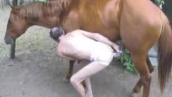 Stallion aggressively penetrates bare homosexual male in intense outdoor porn