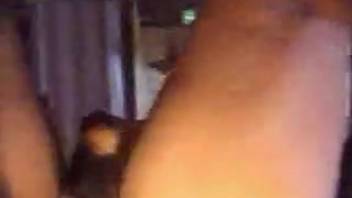 Puppy sniffs and roughly pounds her soaked pussy