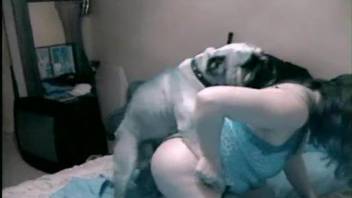 Lady in nylon enjoys sex with her small doggy