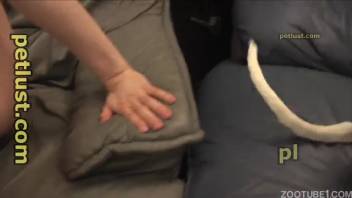 Naked homosexual young man relishes appealing canine penis in messy blowjob sequences.